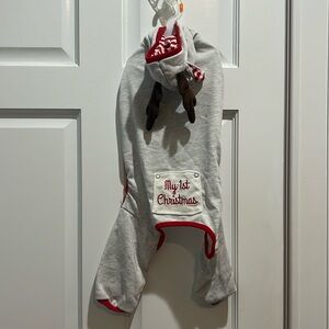 New Merry & Bright Dog Apparel